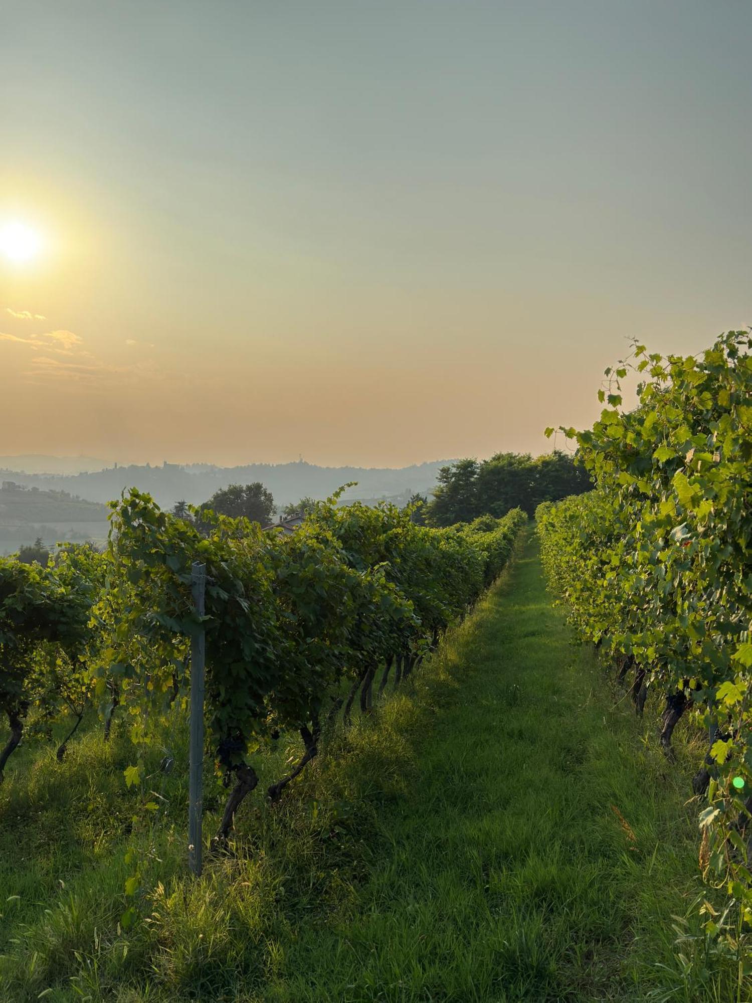 Relais Conac 1888 - Luxury B&B - Adults Only Castelnuovo Don Bosco Екстер'єр фото
